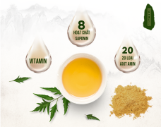 Tăng cường thể lực, chống loãng xương, phòng ngừa bệnh tiểu đường cùng đinh lăng